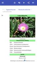 Plantenfamilies screenshot 3