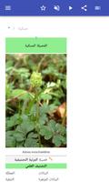 العائلات النباتية تصوير الشاشة 1