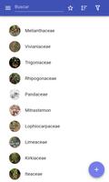 Familias de plantas Poster