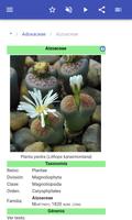 Familias de plantas captura de pantalla 2