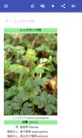 植物の家族 スクリーンショット 1