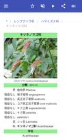 植物の家族 スクリーンショット 3