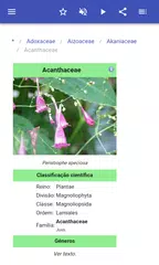 Baixar Famílias de plantas XAPK