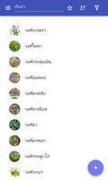 ครอบครัวพืช โปสเตอร์