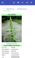 ครอบครัวพืช ภาพหน้าจอ 3