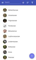 Plant families постер