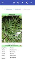 Plant families скриншот 3