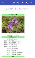 ハニー工場 スクリーンショット 3