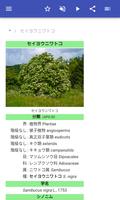 ハニー工場 スクリーンショット 1