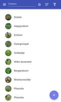Honing planten-poster