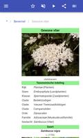 Honing planten screenshot 2