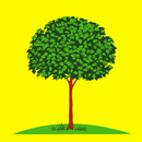 Улицы Липецка APK