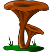 Роды грибов