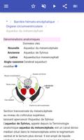 Cerveau capture d'écran 3