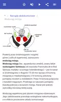 Mózg screenshot 2