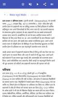 फिरौन स्क्रीनशॉट 2