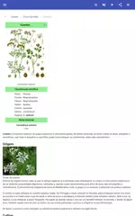 Baixar Especiarias APK