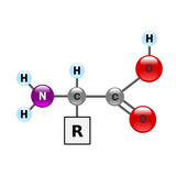 Amino acids 圖標