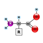 Amino acids icon