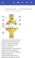 Amino acids screenshot 2