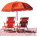 Beaches of Florida APK
