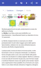 download Polimeri APK