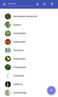 Plantenfysiologie-poster