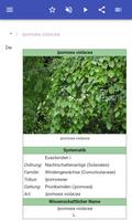 Pflanzenphysiologie Screenshot 1
