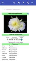 Fisiología de las plantas captura de pantalla 1