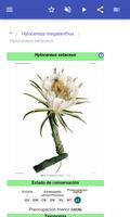 Fisiología de las plantas captura de pantalla 2