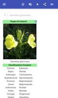 1 Schermata Fisiologia vegetale