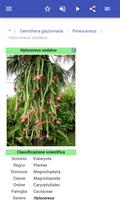3 Schermata Fisiologia vegetale