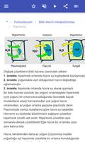 Bitki fizyolojisi Ekran Görüntüsü 3
