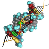 Molecular genetics APK