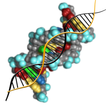 Moleküler genetik