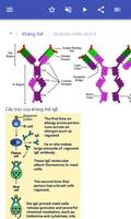 Hệ thống miễn dịch ảnh chụp màn hình 2