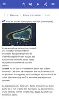 Termes géologiques capture d'écran 3
