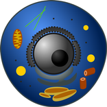 Cell type