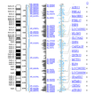 Bioinformatics