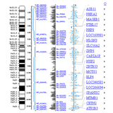 Bioinformatics আইকন