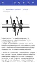 Sail and rigging screenshot 3