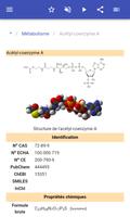 Métabolisme capture d'écran 2