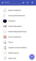 Metabolism постер
