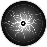 Plasma physics