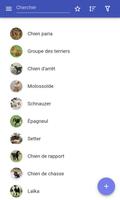 Races de chiens Affiche