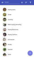 Baka anjing penulis hantaran