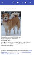 Baka anjing syot layar 1