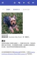 狗品种 截图 3