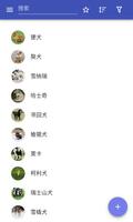 狗品种 海报