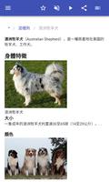 狗品种 截图 2